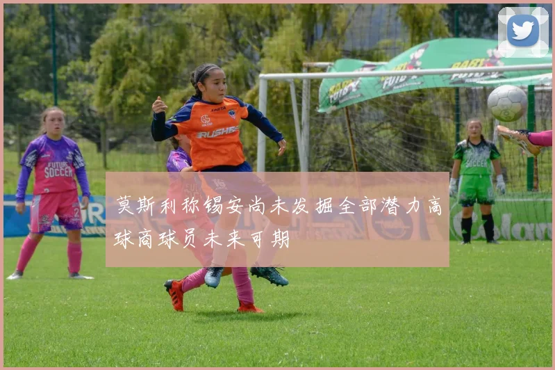 莫斯利称锡安尚未发掘全部潜力高球商球员未来可期