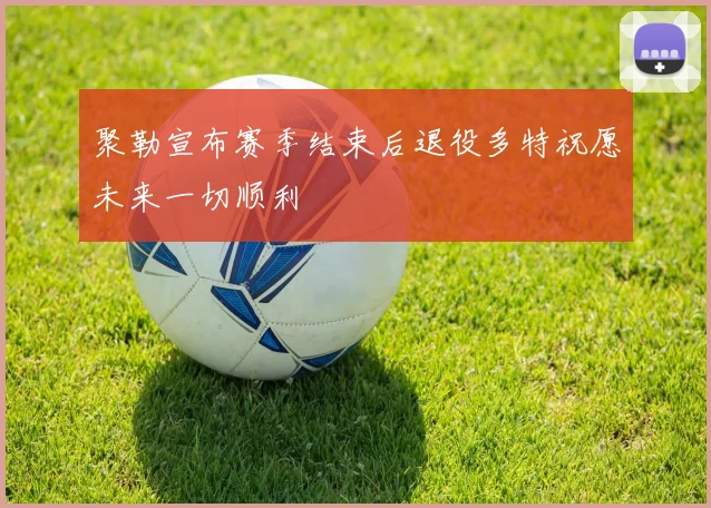 聚勒宣布赛季结束后退役多特祝愿未来一切顺利